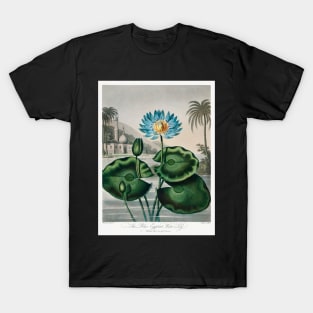 The Blue Egyptian Water-lily T-Shirt